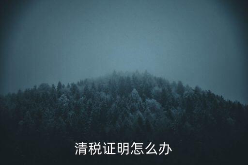 稅務(wù)無紙化辦公要什么材料，清稅證明怎么辦