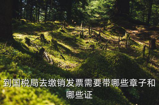 繳銷出口商品統(tǒng)一發(fā)票要蓋什么章，到國稅局去繳銷發(fā)票需要帶哪些章子和哪些證