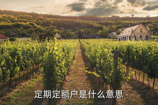 什么叫非定期定額戶，什么是增值稅小規(guī)模非定期定額戶納稅人
