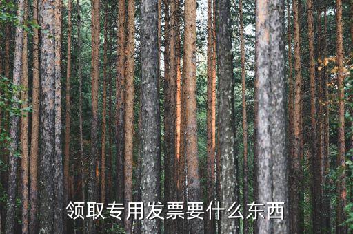 領(lǐng)購專票需要帶什么，領(lǐng)購增值稅專用發(fā)票需要帶哪些東西詳細(xì)點(diǎn)謝謝