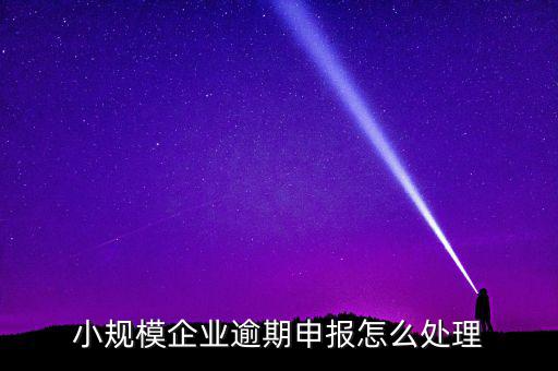 小規(guī)模納稅人如果沒有按時(shí)申報(bào)有什么后果，小規(guī)模不報(bào)稅什么后果