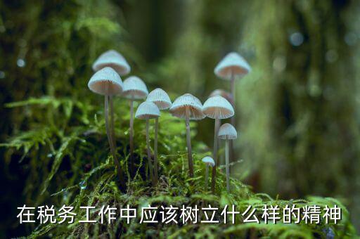 在稅務(wù)工作中應(yīng)該樹(shù)立什么樣的精神