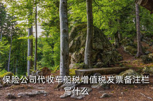 保險(xiǎn)公司代開(kāi)車船稅備注注什么，請(qǐng)問(wèn)一下發(fā)票備注欄能夠?qū)懯裁?/></a></span><span id=