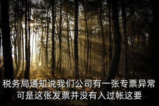 稅務(wù)局通知說我們公司有一張專票異?？墒沁@張發(fā)票并沒有入過帳這要