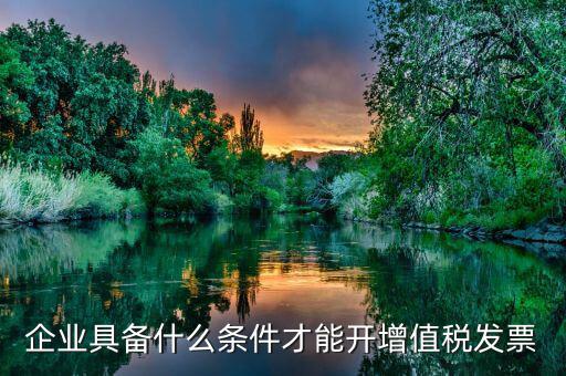 什么企業(yè)增值稅發(fā)票，企業(yè)具備什么條件才能開增值稅發(fā)票