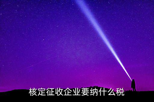 什么稅可以核定征收，核定征收企業(yè)要納什么稅