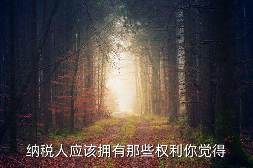 納稅人的權(quán)益有什么，納稅人應(yīng)該擁有那些權(quán)利你覺得