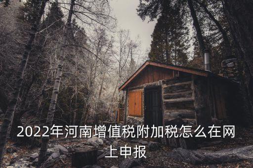 附加稅在什么網(wǎng)站申報，2022年河南增值稅附加稅怎么在網(wǎng)上申報
