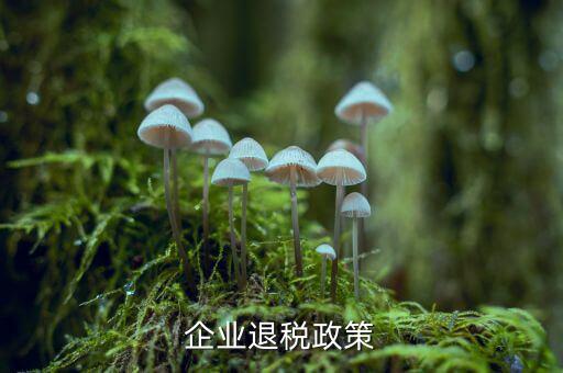 什么是企業(yè)所得稅退稅，企業(yè)所得稅可以退稅嗎