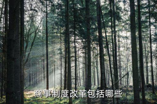 國稅商事制度改革是什么，商事制度改革