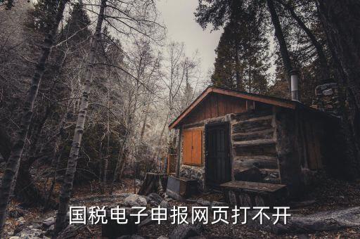 國(guó)稅電子申報(bào)網(wǎng)頁(yè)打不開