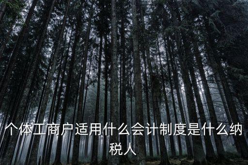 個(gè)體戶屬于什么納稅人，從事縫紉業(yè)務(wù)的個(gè)體戶屬于哪一類納稅人