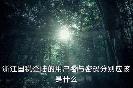 浙江國稅密碼是什么意思，浙江地稅開票軟件中數據庫密碼是多少