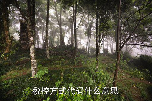什么叫稅控碼，稅控方式代碼什么意思