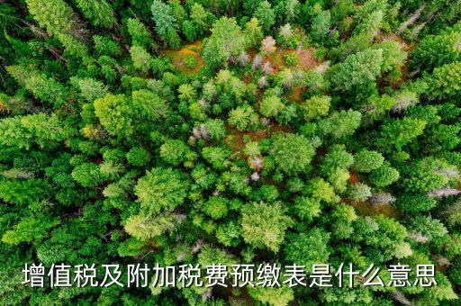 增值稅預(yù)繳稅款表是什么，增值稅及附加稅費(fèi)預(yù)繳表是什么意思