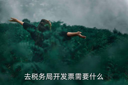 常州國稅認證發(fā)票需要帶什么手續(xù)，去國稅認證發(fā)票需要帶什么資料