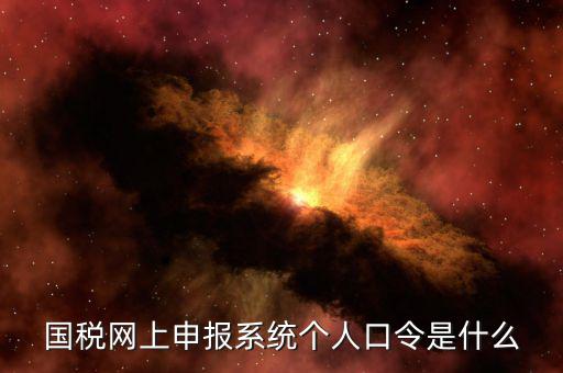 國稅證書口令是什么意思，網上申報國稅系統(tǒng)登陸的口令是什么
