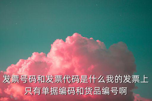 發(fā)票號指的是什么，發(fā)票號碼是指哪個號碼