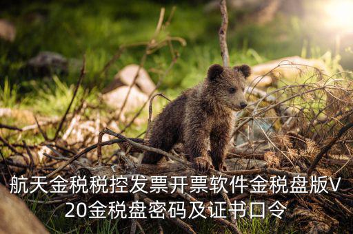新稅盤證書口令是什么，金稅盤初始密碼和口令是多少