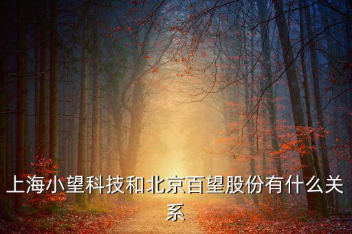 百望跟百旺有什么關(guān)系，上海小望科技和北京百望股份有什么關(guān)系