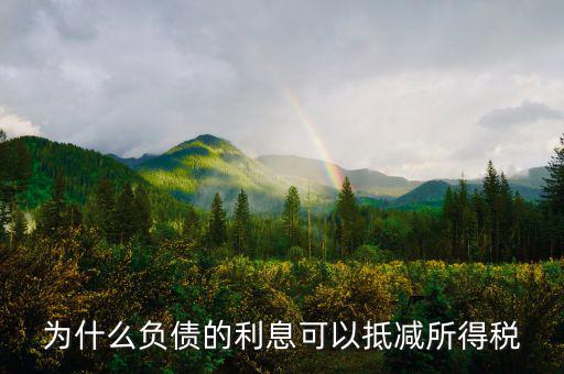 企業(yè)負債時稅率有什么優(yōu)惠，企業(yè)所得稅優(yōu)惠政策有哪些