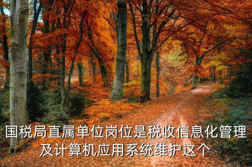 稅收信息化崗位做什么，信息化在稅務管理中有什么作用