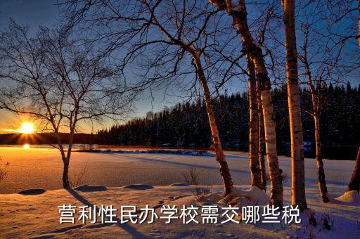 學(xué)校要交什么稅，營利性民辦學(xué)校需交哪些稅