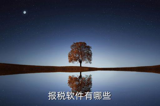 蘇州報稅用什么軟件，蘇州工業(yè)園區(qū)使用什么電子報稅系統(tǒng)