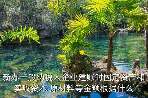 新辦一般納稅人企業(yè)建賬時固定資產(chǎn)和實(shí)收資本 原材料等金額根據(jù)什么