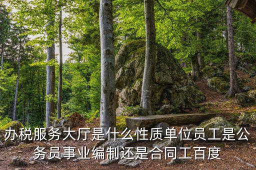 什么是辦稅服務(wù)大廳，辦稅服務(wù)廳的基本服務(wù)包括哪些