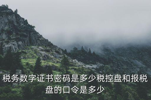 國(guó)稅申報(bào)ca默認(rèn)密碼是什么意思，國(guó)家稅務(wù)總局網(wǎng)上辦稅服務(wù)廳初始密碼是什么