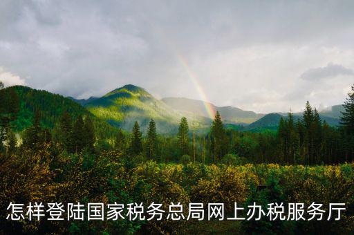 稅務局登錄什么瀏覽器可以，怎樣登陸國家稅務總局網(wǎng)上辦稅服務廳