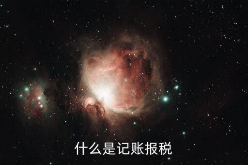 報稅記錄是指什么，報稅是什么意思 報稅的含義