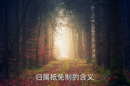 為什么要制定實施稅收抵免制度，歸屬抵免制的含義