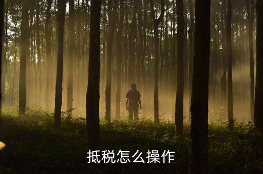 辦理抵稅流程是什么，電子稅務(wù)局退抵稅流程