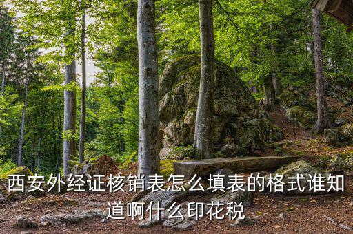 西安外經(jīng)證核銷(xiāo)表怎么填表的格式誰(shuí)知道啊什么印花稅