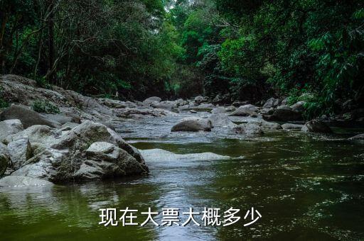 車輛大票是額多少什么，現(xiàn)在大票大概多少