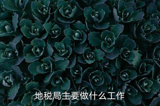 地稅局主要管什么的，地稅局工作的主要內(nèi)容