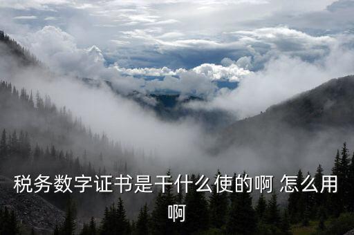 安徽國(guó)稅局?jǐn)?shù)字證書是什么意思，稅務(wù)數(shù)字證書是干什么使的啊 怎么用啊