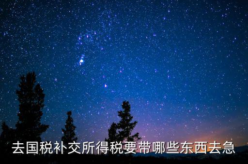 去國稅補繳增值稅要帶什么，增值稅零申報逾期申報了48天 到國稅補申報需要準備什么資料 帶什么