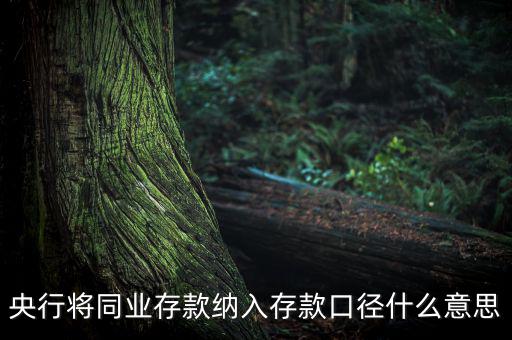 業(yè)務(wù)口徑是什么意思，銀行說的十四行口徑是什么意思