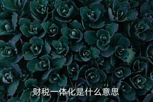 什么是稅收一體化，財(cái)稅一體化客戶端V11是什么啊必須用嗎