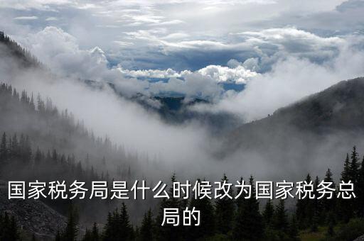 稅務(wù)機(jī)構(gòu)改革是什么，稅收征管體制改革內(nèi)容