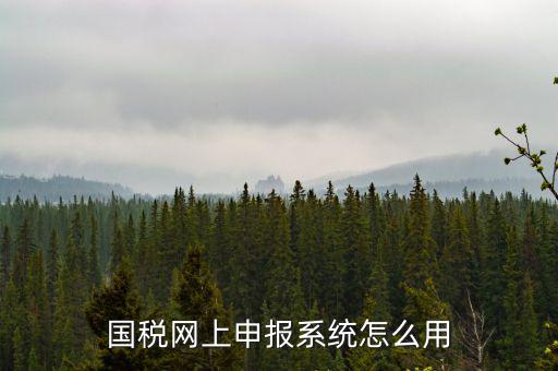 國稅網(wǎng)絡(luò)預(yù)申請系統(tǒng)是什么，怎么安裝國稅網(wǎng)上申報系統(tǒng)