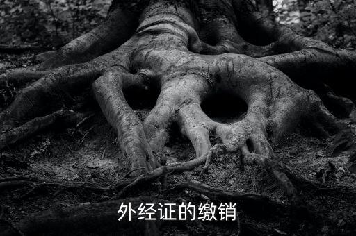 廈門繳銷外經(jīng)證國稅什么資料，廈門國稅需銷項(xiàng)合同是什么