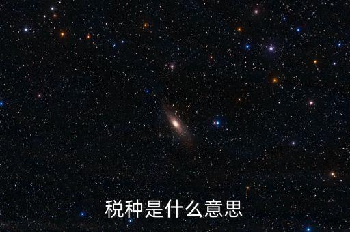 維護稅種什么意思，稅總維護是什么意思