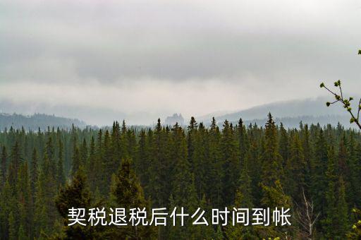 退稅款什么時候到賬，出口退稅款一般多久到賬