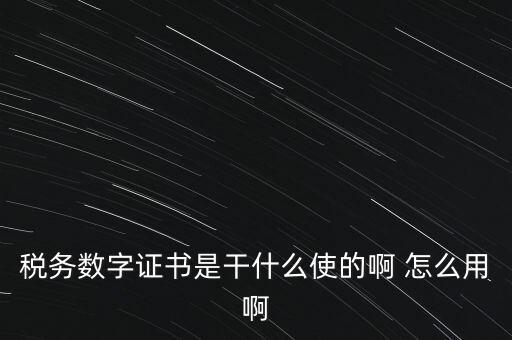 國(guó)稅ca數(shù)字證書是什么，稅務(wù)數(shù)字證書是干什么使的啊 怎么用啊