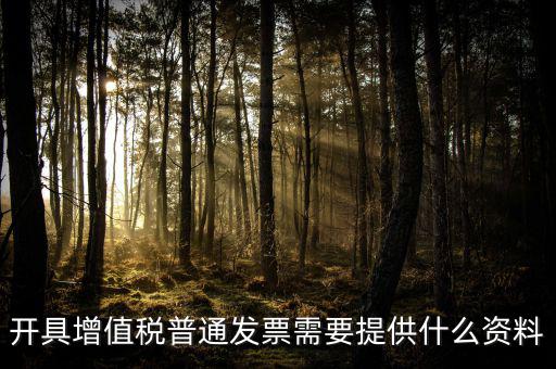 開增值稅提供什么資料，開具增值稅普通發(fā)票需要提供什么資料