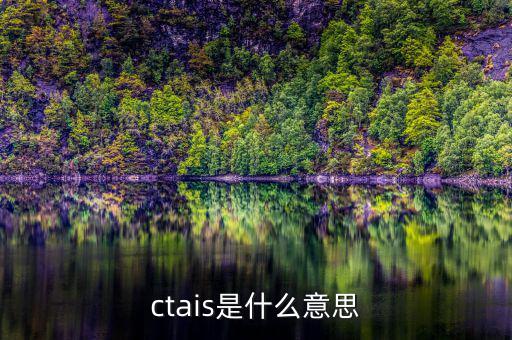 ctais是什么意思，ctais中增值稅認定級別是什么意思